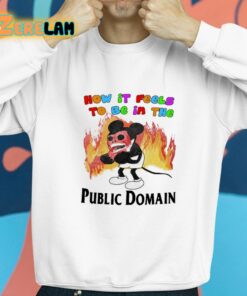 How It Feels To Be In The Public Domain Shirt 8 1