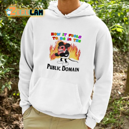 How It Feels To Be In The Public Domain Shirt