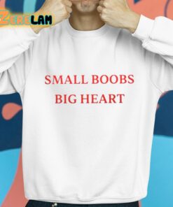 Spar1y Small Boobs Big Heart Shirt 8 1