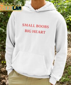 Spar1y Small Boobs Big Heart Shirt 9 1