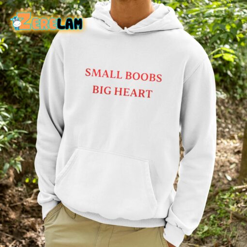 Spar1y Small Boobs Big Heart Shirt
