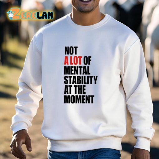 Carly Heading Not A Lot Of Mental Stability At The Moment Shirt