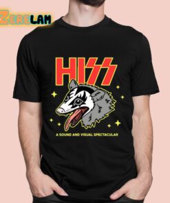 Hiss A Sound And Visual Spectacular Shirt