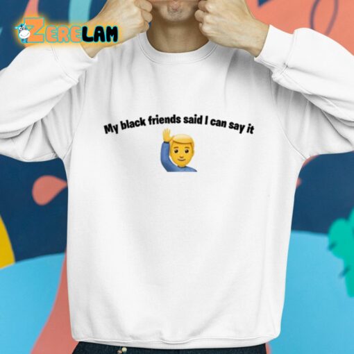 My Black Friends Said I Can Say It Shirt