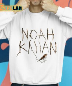 Noah Kahan Stick Season Bird Shirt 8 1