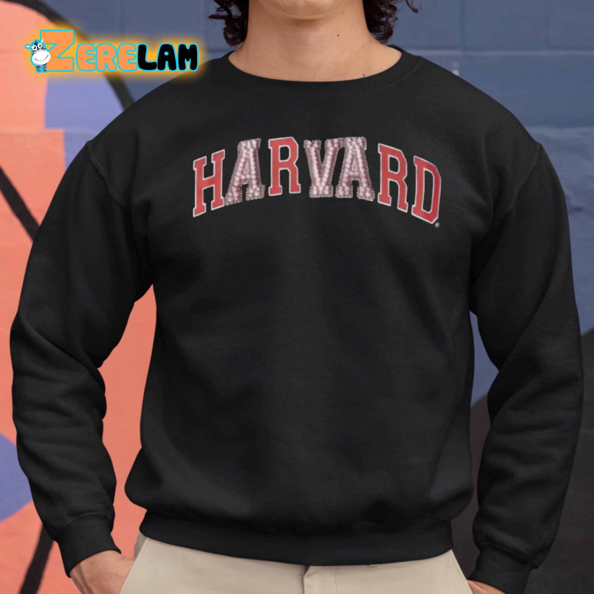 Red harvard outlet sweatshirt