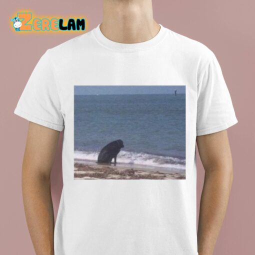 Sad Dog At The Beach Shirt