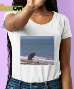 Sad Dog At The Beach Shirt 6 1