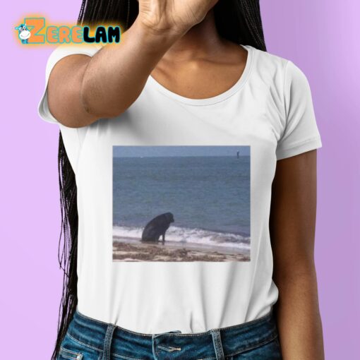 Sad Dog At The Beach Shirt