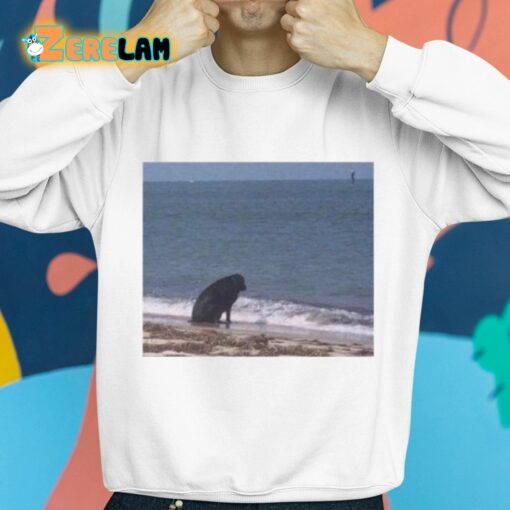 Sad Dog At The Beach Shirt