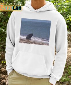 Sad Dog At The Beach Shirt 9 1