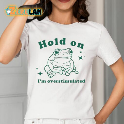 Slippywild Hold On I’m Overstimulated Shirt