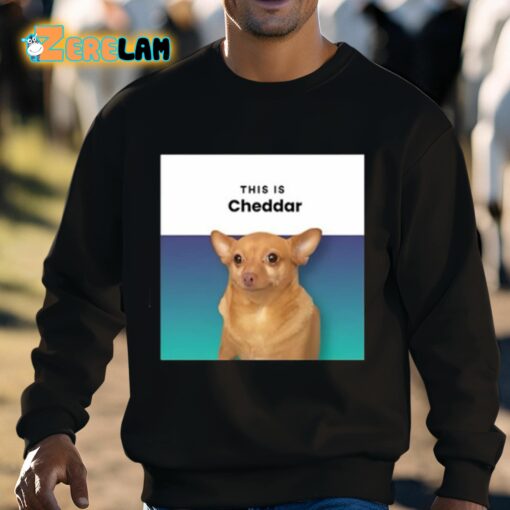 This Is Cheddar Shirt