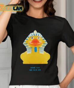 A Myriad Of Pyramids Duck 1 Shirt 7 1