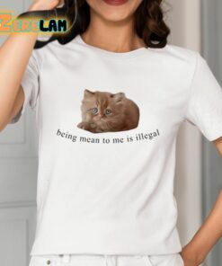 Being Mean To Me Is Illegal Shirt 12 1