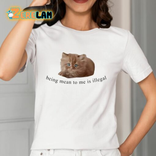Being Mean To Me Is Illegal Shirt
