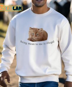 Being Mean To Me Is Illegal Shirt 13 1