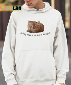 Being Mean To Me Is Illegal Shirt 14 1