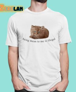 Being Mean To Me Is Illegal Shirt 16 1