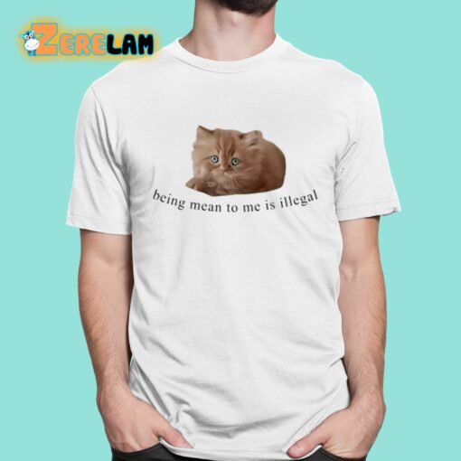 Being Mean To Me Is Illegal Shirt
