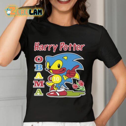 Harry Potter Obama Sonic Shirt