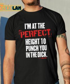 Im At The Perfect Height To Punch You In The Dick Shirt 10 1