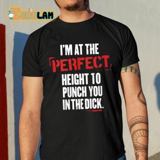 I’m At The Perfect Height To Punch You In The Dick Shirt