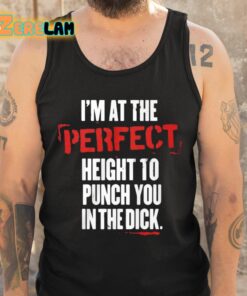 Im At The Perfect Height To Punch You In The Dick Shirt 6 1