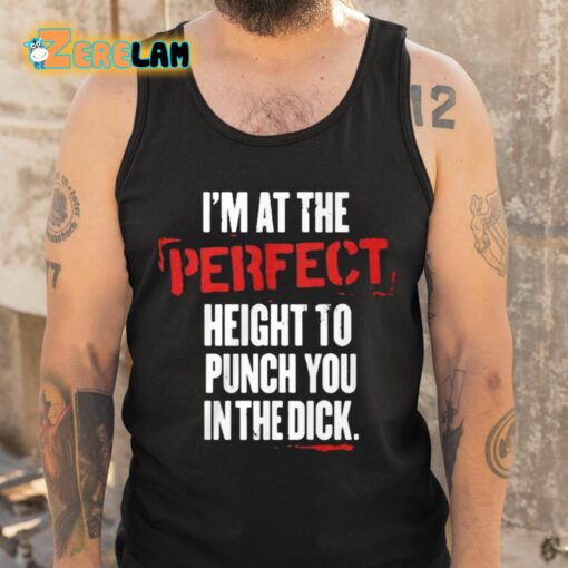 I’m At The Perfect Height To Punch You In The Dick Shirt