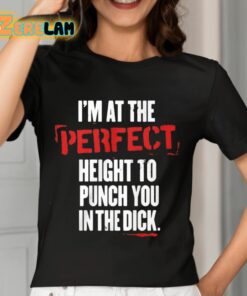 Im At The Perfect Height To Punch You In The Dick Shirt 7 1