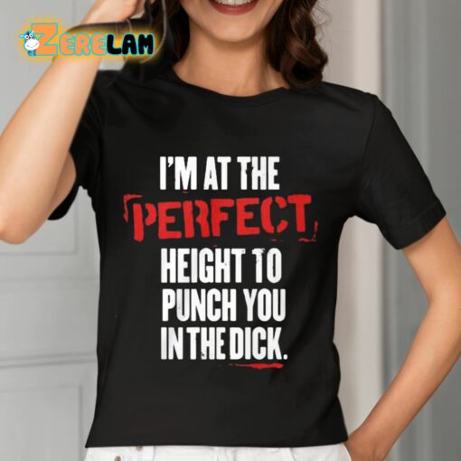 I’m At The Perfect Height To Punch You In The Dick Shirt