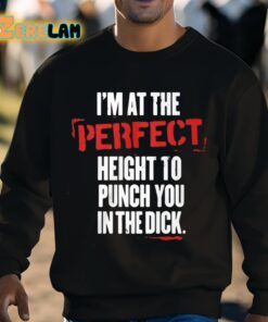 Im At The Perfect Height To Punch You In The Dick Shirt 8 1