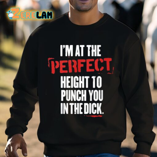 I’m At The Perfect Height To Punch You In The Dick Shirt