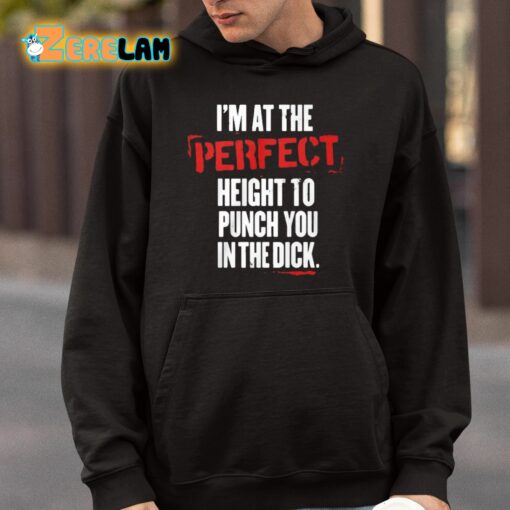 I’m At The Perfect Height To Punch You In The Dick Shirt