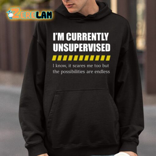 I’m Currently Unsupervised I Know It Scares Me Too But The Possibilities Are Endless Shirt