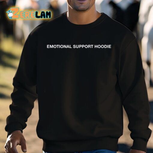 Ryan Clark Emotional Support Hoodie Shirt