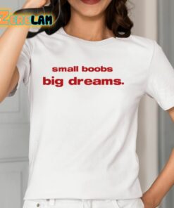 Small Boobs Big Dreams Shirt 12 1
