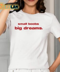 Small Boobs Big Dreams Shirt