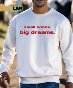 Small Boobs Big Dreams Shirt 13 1