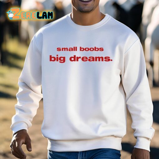 Small Boobs Big Dreams Shirt