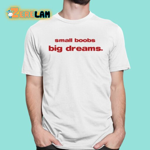 Small Boobs Big Dreams Shirt