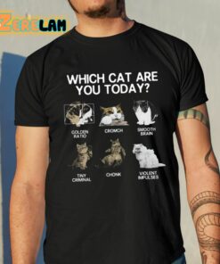 Which Cat Are You Today Golden Cromch Smooth Brain Tiny Criminal Chonk Violent Impulses Shirt 10 1