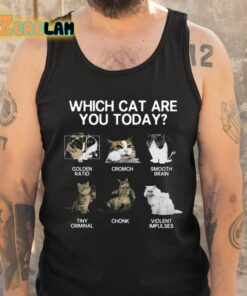 Which Cat Are You Today Golden Cromch Smooth Brain Tiny Criminal Chonk Violent Impulses Shirt 6 1