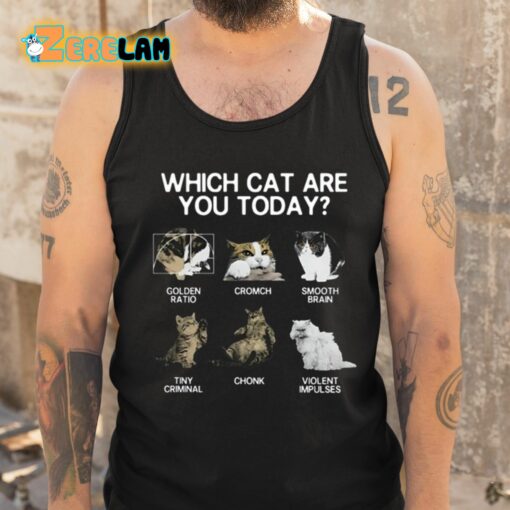 Which Cat Are You Today Golden Cromch Smooth Brain Tiny Criminal Chonk Violent Impulses Shirt