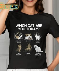 Which Cat Are You Today Golden Cromch Smooth Brain Tiny Criminal Chonk Violent Impulses Shirt 7 1