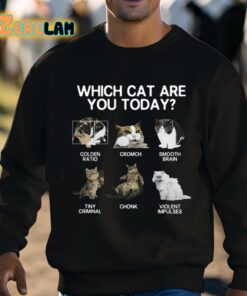 Which Cat Are You Today Golden Cromch Smooth Brain Tiny Criminal Chonk Violent Impulses Shirt 8 1