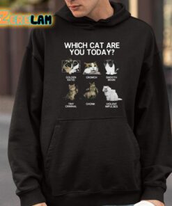 Which Cat Are You Today Golden Cromch Smooth Brain Tiny Criminal Chonk Violent Impulses Shirt 9 1
