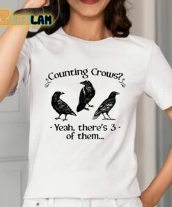 Counting Crows Yeah Theres 3 Of Them Shirt 2 1
