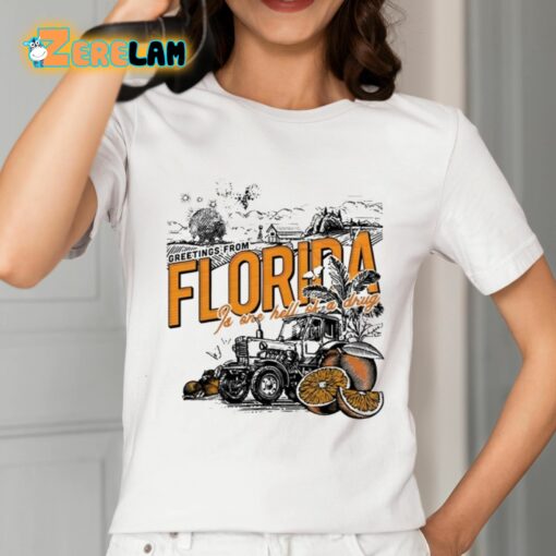 Greetings From Florida Is One Hell Of A Drug Shirt