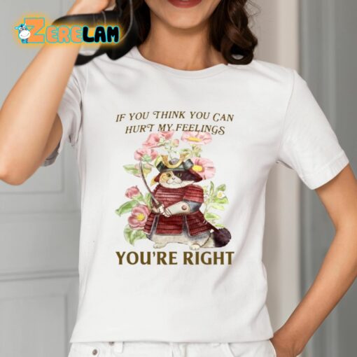 If You Think You Can Hurt My Feelings You’re Right Shirt